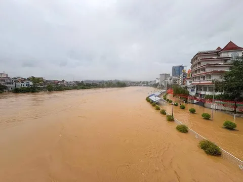 Khẩn trương khắc phục hậu quả mưa lũ tại Cao Bằng, Tuyên Quang, Lào Cai