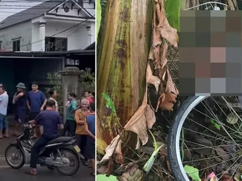 Chồng sát hại vợ và con riêng của vợ rồi nhảy sông tự tử