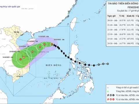 Thủ tướng yêu cầu chủ động ứng phó bão số 12 và mưa lũ
