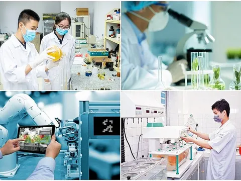 Hoàn thiện hành lang pháp lý phục vụ quản lý hoạt động thống kê ngành khoa học và công nghệ