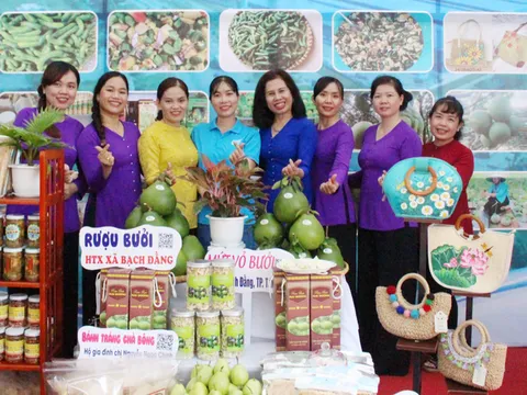 Hỗ trợ phụ nữ khởi nghiệp