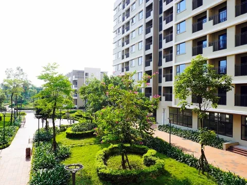 Bán, cho thuê, cho thuê mua nhà ở xã hội không đúng đối tượng quy định bị phạt đến 160 triệu đồng