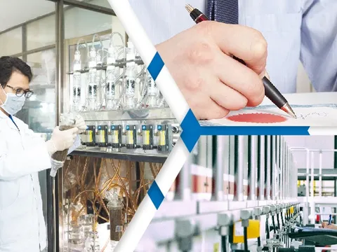 Dự kiến sửa quy định xử phạt vi phạm hành chính lĩnh vực sở hữu công nghiệp