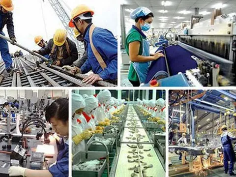 Quy định mới về hệ thống thông tin thị trường lao động từ năm 2026