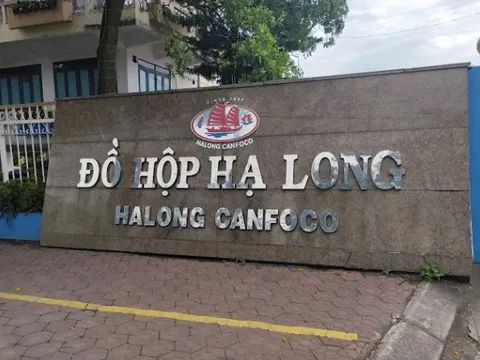 Bắt khẩn cấp Tổng giám đốc Công ty CP Đồ hộp Hạ Long