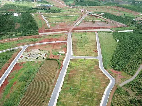 Tách thửa, chuyển mục đích sử dụng đất: Cần căn cứ những quy định nào?