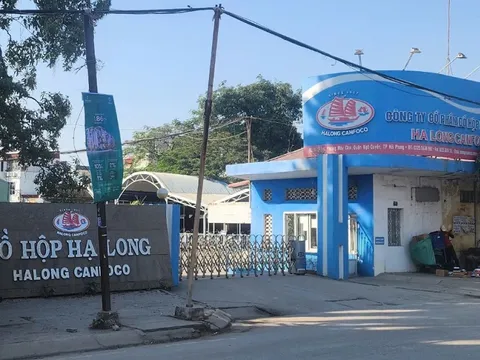 Nhân viên kiểm dịch nhận hối lộ của Công ty Đồ hộp Hạ Long ra đầu thú