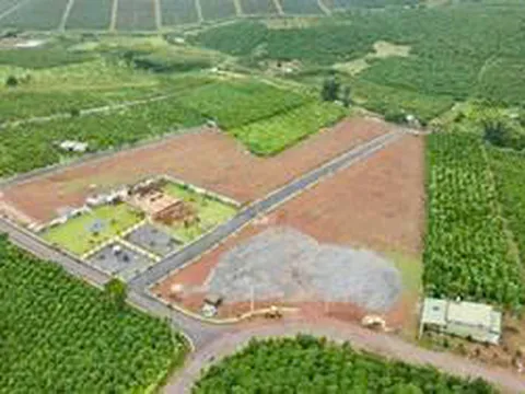 Quy hoạch nào là căn cứ để chuyển mục đích sử dụng đất theo Luật Đất đai?