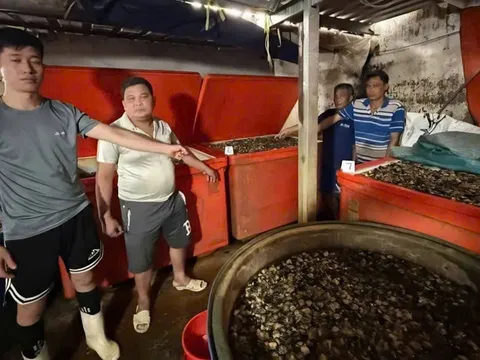 Ốc bươu ngâm 'thủy tinh lỏng': Cái giá phải trả cho hành vi trục lợi trên sức khỏe người dân