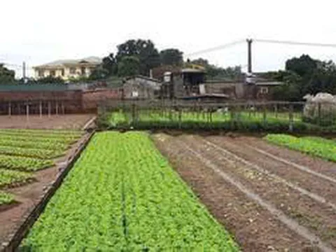 Nhân khẩu nào được tính hỗ trợ ổn định đời sống khi thu hồi đất?