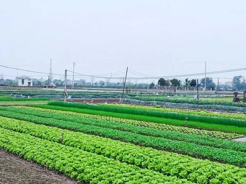 Quy định tính tiền sử dụng đất đối với hộ gia đình, cá nhân khi chuyển từ đất nông nghiệp sang đất ở năm 2026