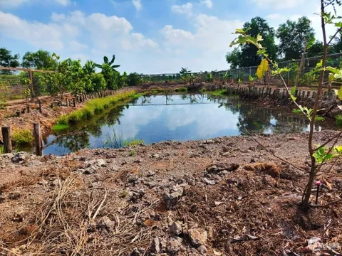 Chuyển một phần đất nông nghiệp sang đất ở trong hạn mức, tính tiền sử dụng đất như thế nào?