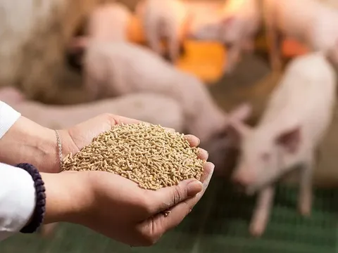 Kinh doanh thức ăn chăn nuôi có phải kê khai thuế GTGT?