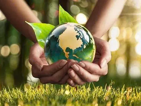 Những dự án nào được miễn đăng ký môi trường?