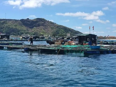 Đề xuất miễn thuế thu nhập cá nhân với nhiều nguồn thu trong lĩnh vực nông nghiệp, môi trường