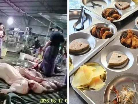 Thực phẩm bẩn, chuyện không chỉ ở nhà trường...