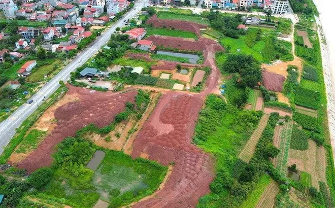 Chủ đầu tư dự án tái định cư có được miễn tiền sử dụng đất?