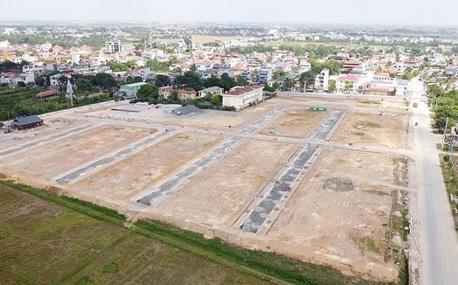 Nhận chuyển nhượng đất làm dự án, doanh nghiệp có phải làm thủ tục thuê đất?