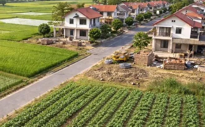 Quy hoạch nào được sử dụng làm căn cứ chuyển mục đích sử dụng đất?