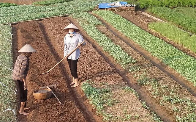 Ai được hỗ trợ chuyển đổi nghề khi Nhà nước thu hồi đất nông nghiệp?
