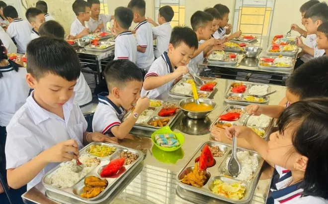 Nhà trường thu tiền và tự nấu ăn phục vụ học sinh bán trú, hạch toán thuế GTGT thế nào?