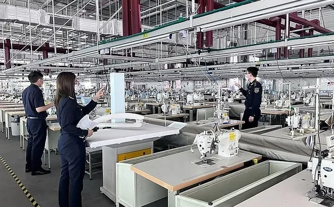 Cho doanh nghiệp chế xuất thuê máy, có cần mở tờ khai hải quan?