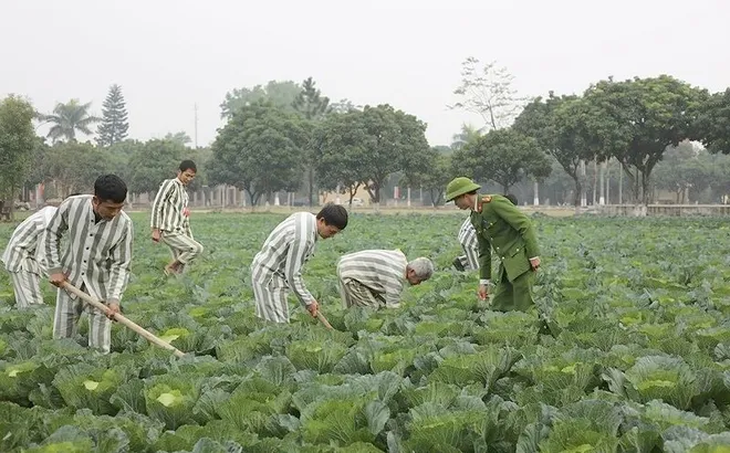 Người chấp hành án mãn hạn tù vẫn chưa khỏi bệnh sẽ được xử lý thế nào?