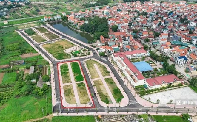 Có phải tất cả thửa đất đều có mã định danh, hiển thị trên VNeID tư 1/9?